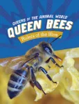 Queen Bees