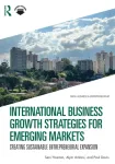 International Business Growth Strategies for Emerging Markets