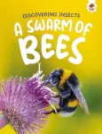 Discovering Insects: A Swarm of Bees