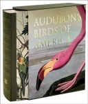 Audubon&rsquo;s Birds of America