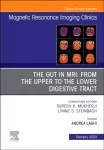 MR Imaging of the Bowel, An Issue of Magnetic Resonance Imaging Clinics of North America