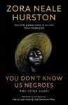 You Don&rsquo;t Know Us Negroes and Other Essays