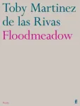Floodmeadow
