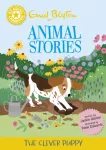 Reading Champion: Enid Blyton animal stories: The Clever Puppy