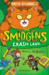 Smidgens Crash-Land