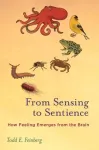 From Sensing to Sentience