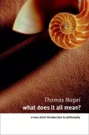 What Does It All Mean?