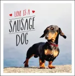Love is a Sausage Dog