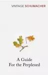 Guide For the Perplexed