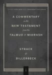 Volume 1, Matthew