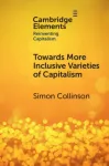 Towards More Inclusive Varieties of Capitalism