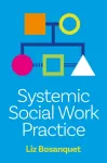 Systemic Social Work Practice