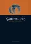 Guinea Pig