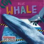 Blue Whale