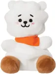 BT21 RJ Palm Pal 5In