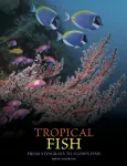Tropical Fish, From Stingrays to Clown Fish