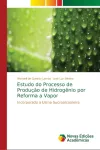 Estudo do Processo de Producao de Hidrogenio por Reforma a Vapor