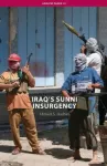 Iraq&rsquo;s Sunni Insurgency
