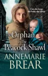 Orphan in the Peacock Shawl, A gripping historical novel from AnneMarie Brear