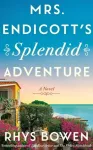 Mrs. Endicott's Splendid Adventure, A Novel