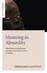 Meaning in Absurdity &ndash; What bizarre phenomena can tell us about the nature of reality