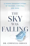 Sky Was Falling