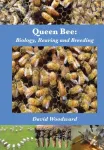 Queen Bee