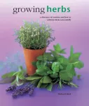 Growing Herbs