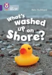 What's washed up on shore?