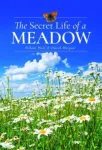 Secret Life of a Meadow