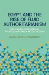 Egypt and the Rise of Fluid Authoritarianism