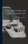 The Anatomy Of The Human Eye