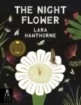 Night Flower