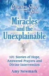 Chicken Soup for the Soul: Miracles and the Unexplainable