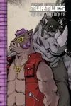 Teismelised mutantninjakilpkonnad: IDW kollektsioon 8. k&ouml;ide