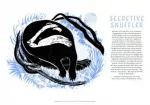 Tom Cox's 21st Century Yokel Poster: Secretive Snuffler