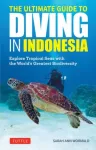 The Ultimate Guide to Diving in Indonesia