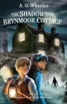 Shadows of Brynmoor Cottage