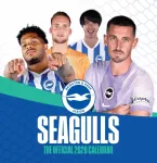 Official Seagulls Desk Calendar 2026