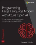 Programming Large Language Models with Azure Open AI