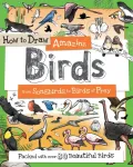 How To Draw Amazing Birds