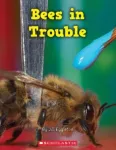 Bees in Trouble