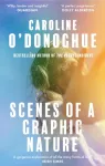 Scenes of a Graphic Nature, 'A perfect page-turner . . . I loved it' - Dolly Alderton