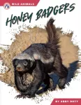 Honey Badgers