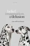 Belief, Imagination, and Delusion