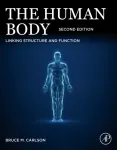 Human Body