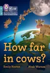 How far in cows?