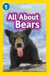 All About Bears, Level 1