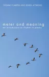 Meter and Meaning