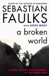 Broken World